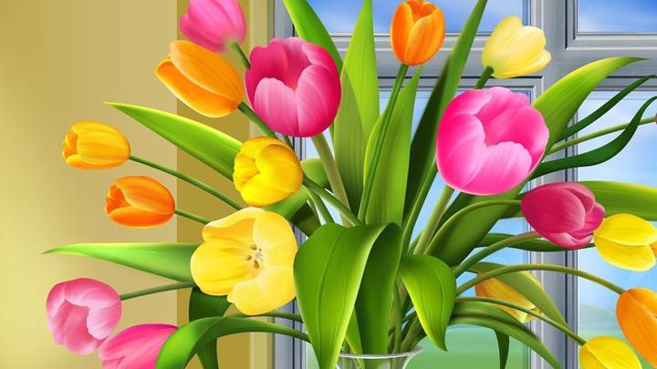 Colorful Tulips In Vase